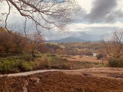 -塔川景区