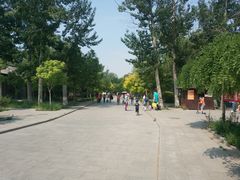 -杨柳青庄园