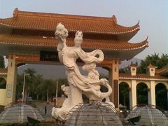 -深圳仙湖植物园-停车场