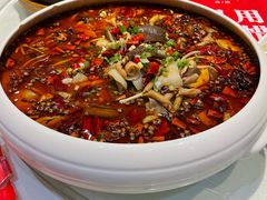 老酒毛血旺-老酒川菜坊(总店)