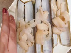 蛏子皇-协成海鲜火锅(海洋花园店)