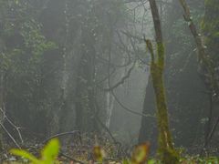 -山王坪喀斯特国家生态公园