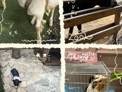 -HERRE·FARM 赫尔露营农场·团建聚会包场