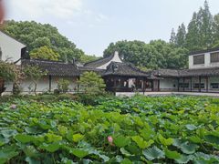 -上海醉白池公园