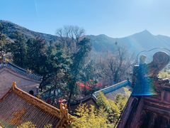 -潭柘寺景区