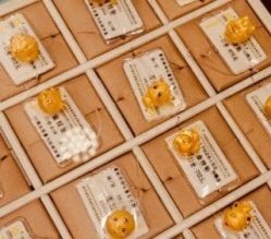 -中国黄金(福佳新天地店)