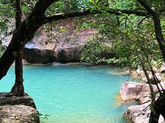 -广州白江湖森林公园