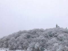 -太子岭滑雪场