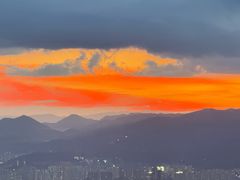-长虫山生态公园风景林