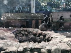 -南昌动物园