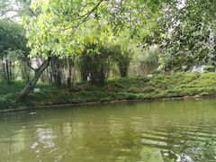 -上海方塔园