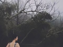 -天目湖涵田半山温泉水乐园