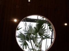 -陶然居·重庆菜(生态园店)
