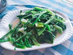 蒜蓉炒油麦菜-钱大妈海鲜饭店(保利林语店)