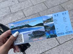 -广东惠东海龟国家级自然保护区