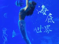 -太平洋海底世界