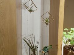 -柴务处·柴犬主题狗咖