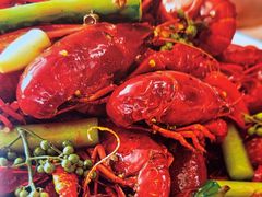 -杨氏青龙虾·羊蝎子(托乐嘉店)