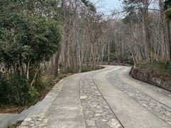 -头陀岭景区