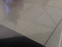 -谢列梅捷沃国际机场