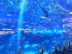 -成都浩海立方海洋公园