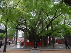 -浮来山风景区