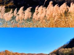 -沉浸北京·团建旅行·密室剧本杀·年会会议轰趴拓展