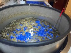 -腾阁自助餐厅(朝林广场店)
