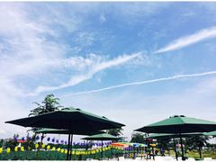 -金谷域澳洲庄园