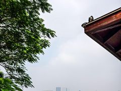 -麗枫酒店(深圳机场福永地铁站店)