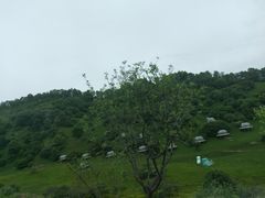 -关山草原