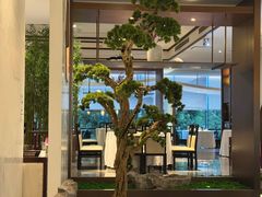-松鹤楼·非遗·苏帮菜(融科店)