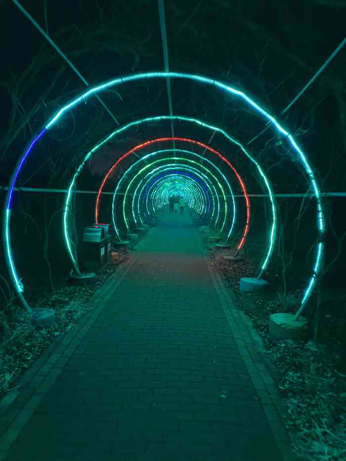 临泉木一博览园