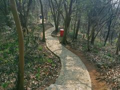 -上海佘山国家森林公园天马山园