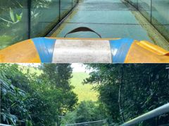 -亚龙湾国际玫瑰谷