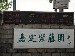 -嘉定紫藤园