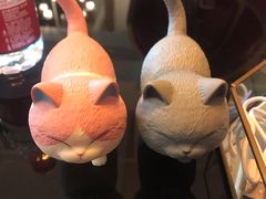 -猫大福·Fortune Cat猫舍(百子湾店)