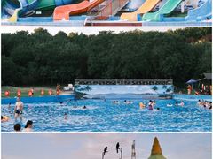 -佛手湖郊野公园