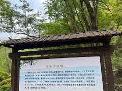 -白水冲瀑布