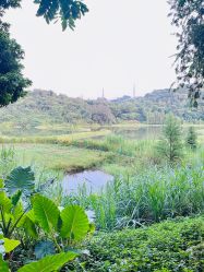 -佛灵湖水上乐园
