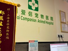 -爱侣宠医·鹦鹉专科·小型哺乳类·异宠专科(灵石路店)