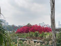 -南宁南湖公园