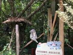 -广州长隆野生动物世界
