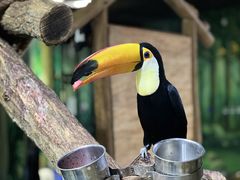 -海合安武汉极地海洋公园