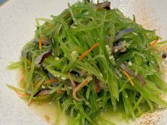 -大连湾旭日·家宴·海肠捞饭(马栏广场店)