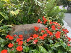 -荔香公园