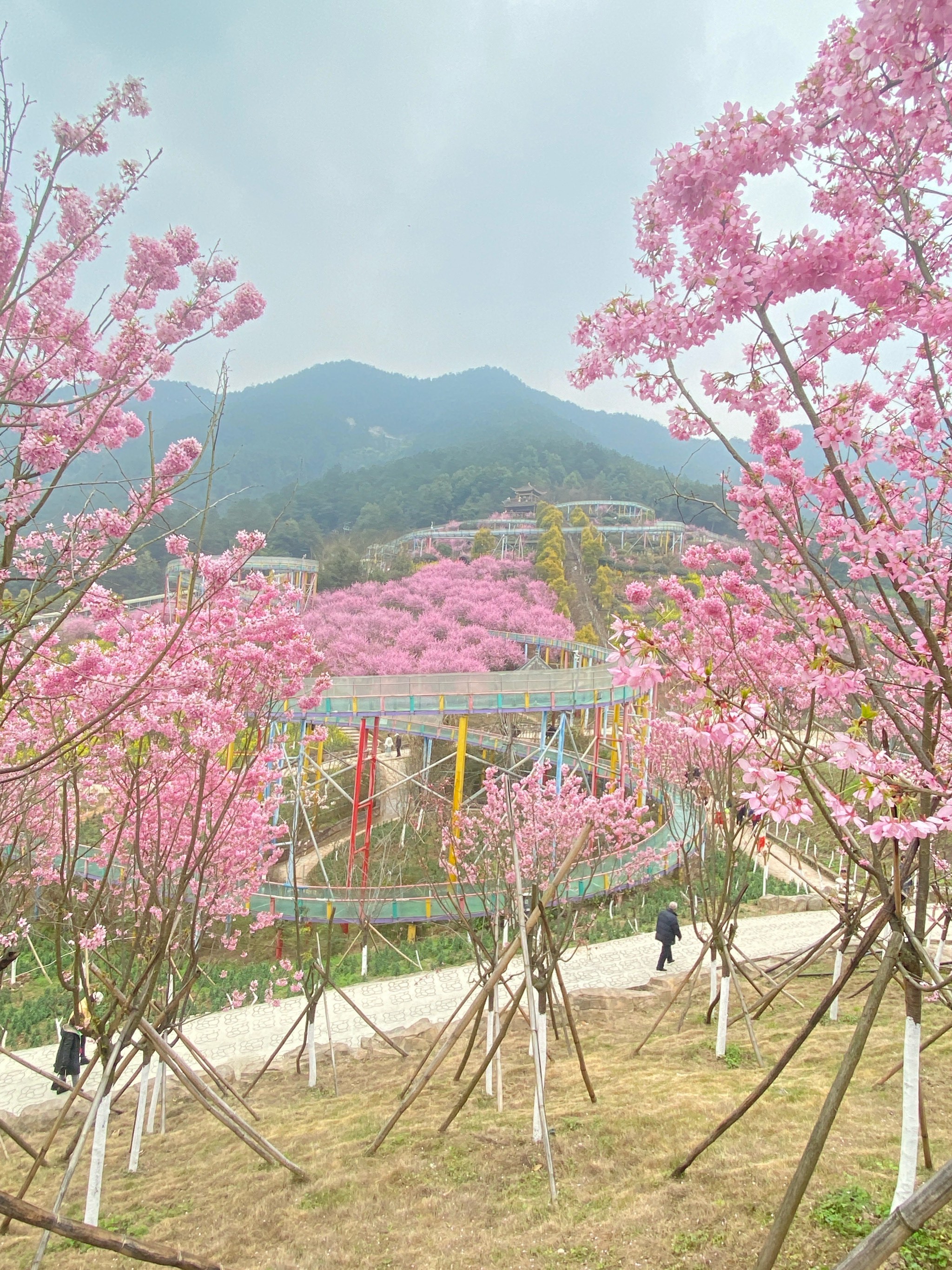 回龙坝红岭溪谷图片