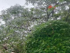 -马哥孛罗咖啡厅·Cafe Marco (厦门马哥孛罗东方大酒店)