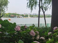 -黄兴公园