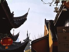 -龙华素斋(龙华路店)